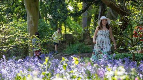 A child in a dress and hat walking through bluebells at Wentworth Castle Gardens, South Yorkshire